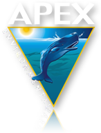 APEX Environmental Logo